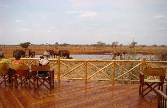 2 Days Kenya Road Safari to Ngutuni Sanctuary in Tsavo East